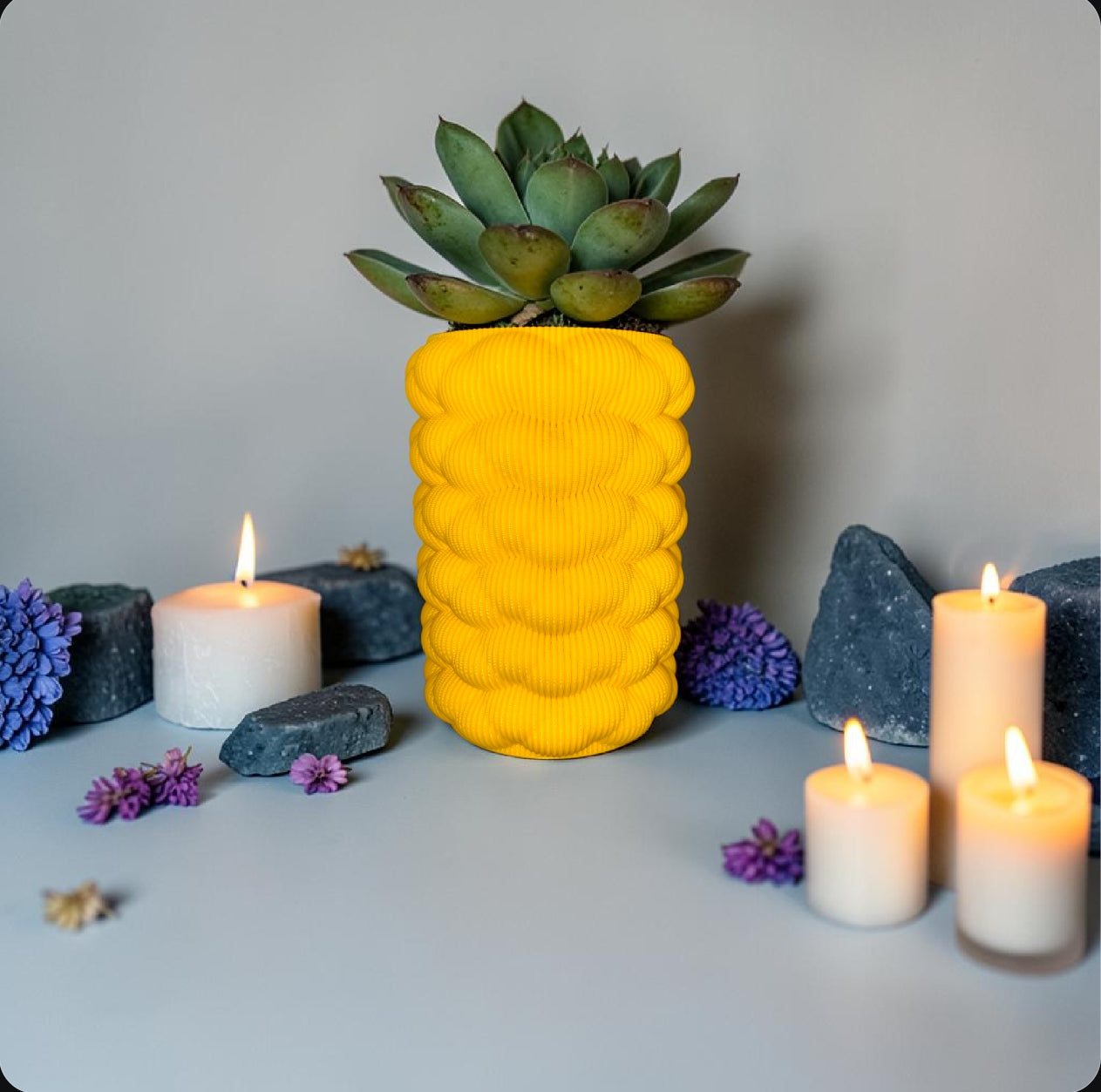 BloomStack™ | 3D Printed Indoor Vase & Planter